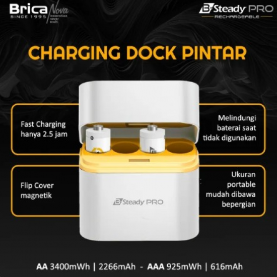 Battery Brica B-Steady Pro Rechargeable AA X4 + Dock 